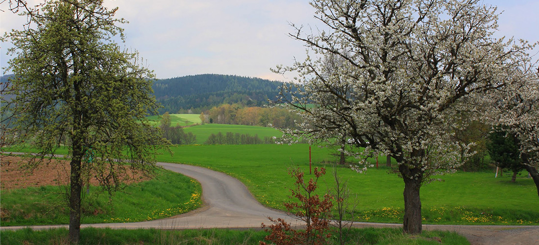 Immer eine Reise Wert